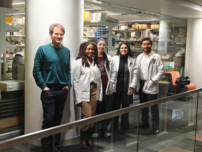 Research shadowing